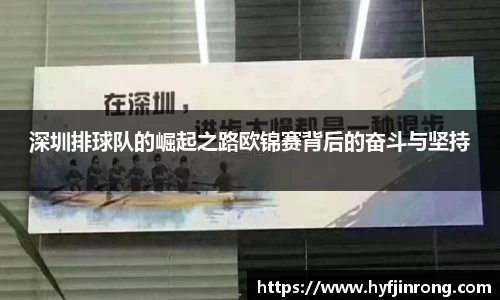 深圳排球队的崛起之路欧锦赛背后的奋斗与坚持